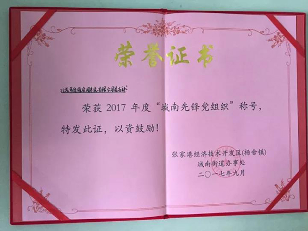 城南先锋党组织”荣誉证书